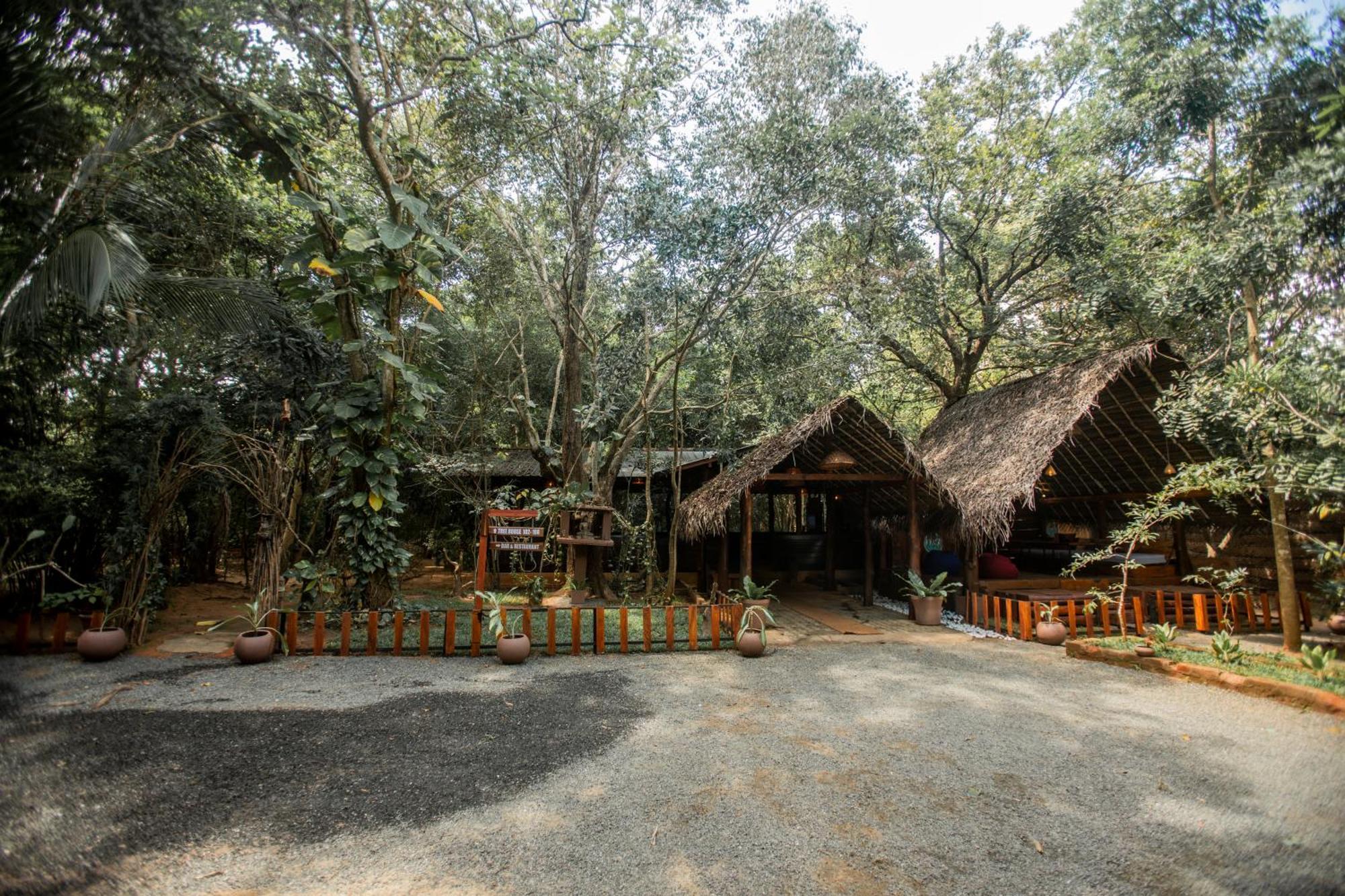 Inn On The Tree Eco Resort Sigiriya Kibissa Экстерьер фото